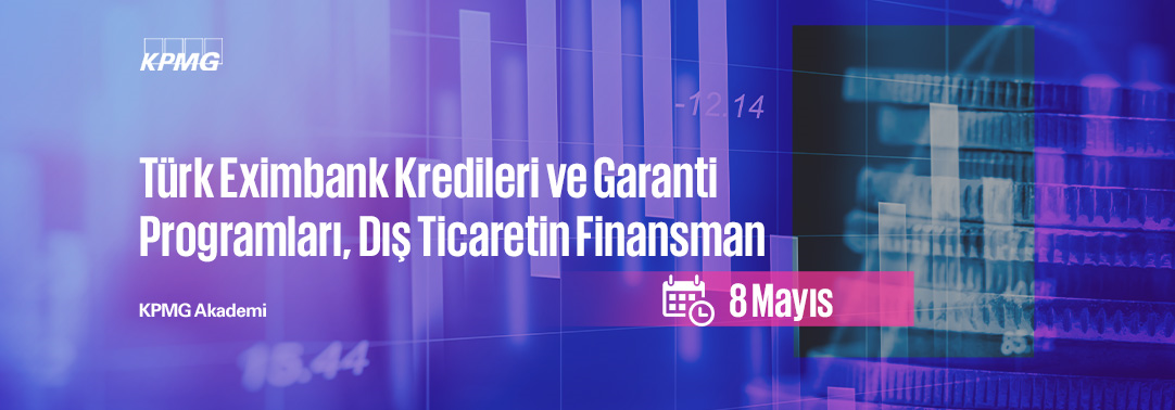 4.7 Türk Eximbank Kredileri ve Garanti Programları