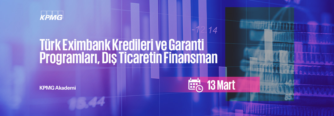4.7 Türk Eximbank Kredileri ve Garanti Programları