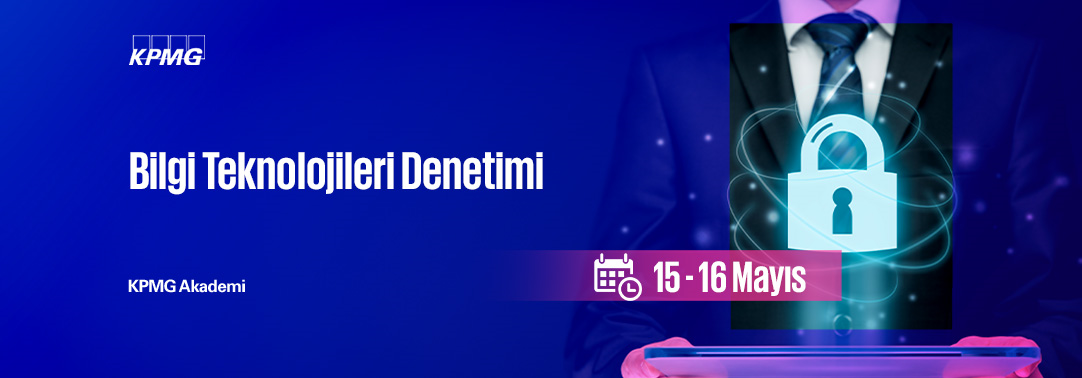 8.01 Bilgi Teknolojileri Denetimi