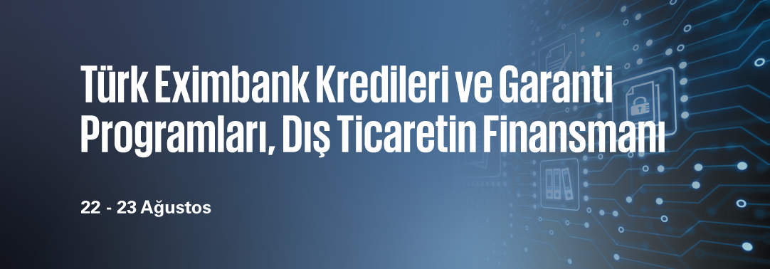 Türk Eximbank Kredileri ve Garanti Programları, Dı