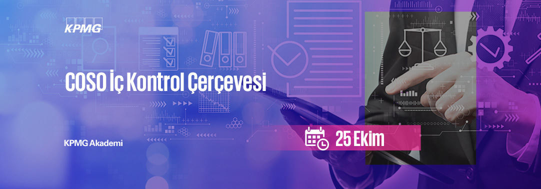 7.06 COSO İç Kontrol Çerçevesi