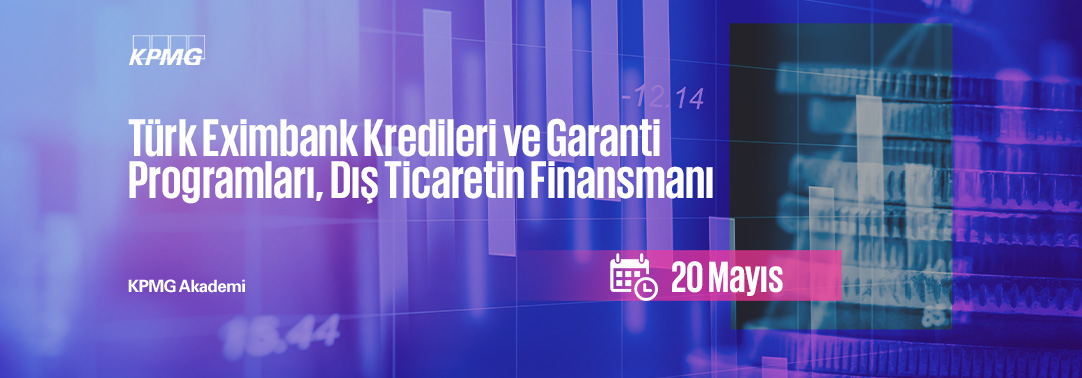 4.7 Türk Eximbank Kredileri ve Garanti Programları