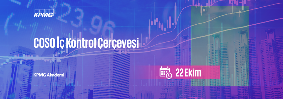 COSO İç Kontrol Çerçevesi