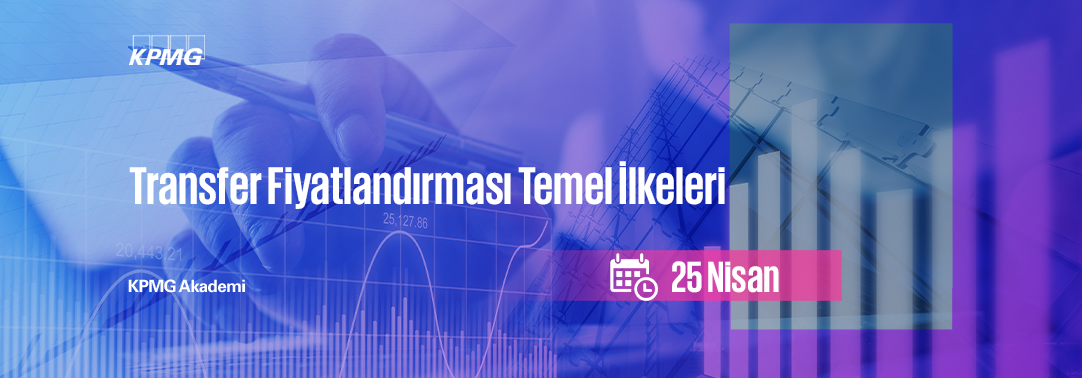 3.06 Transfer Fiyatlandırması Temel İlkeleri