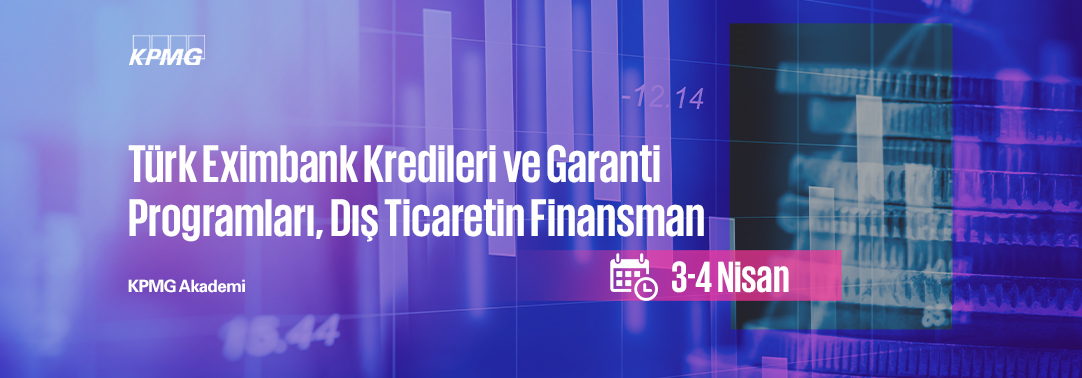 Türk Eximbank Kredileri ve Garanti Programları, Dı