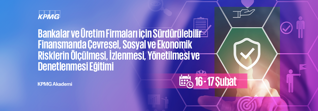 2.13 Bankalar ve Üretim Firmaları için Sürdürülebi