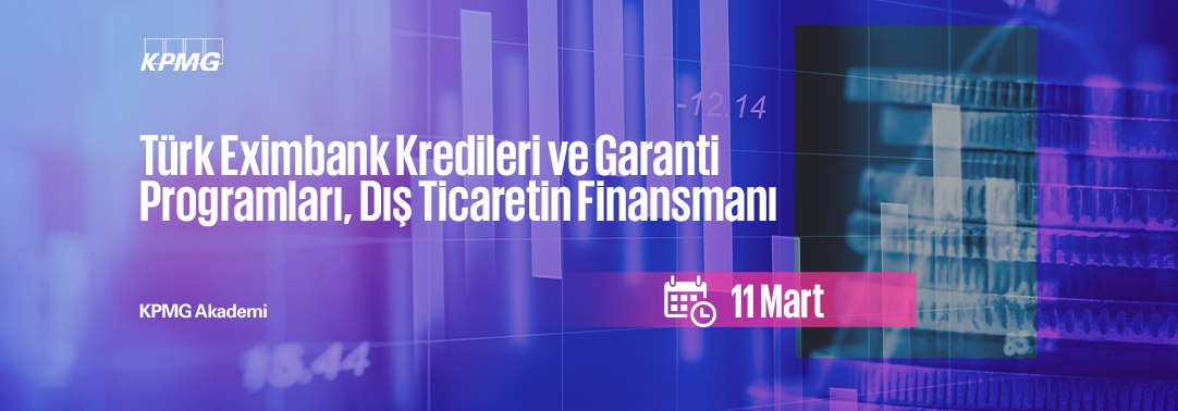 Türk Eximbank Kredileri ve Garanti Programları, Dı
