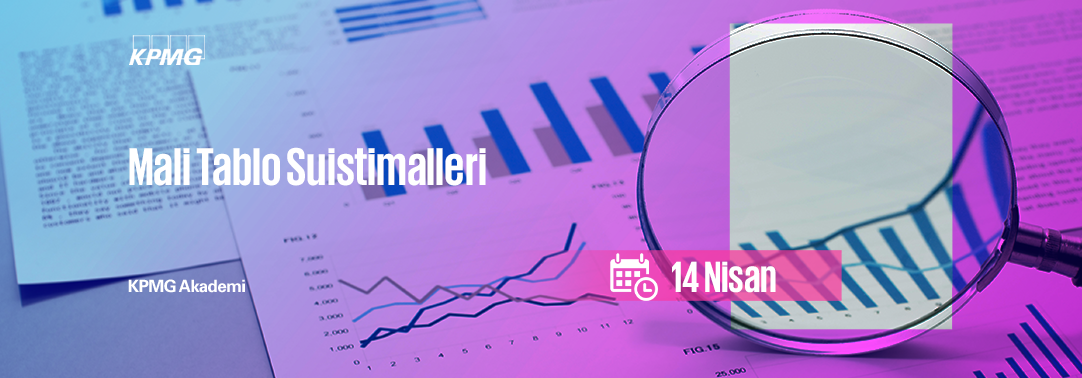 Mali Tablo Suistimalleri