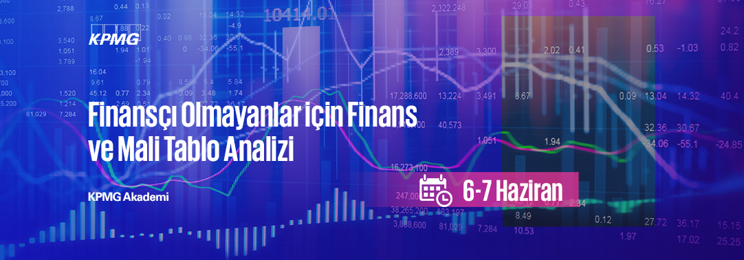 Finansçı Olmayanlar İçin Finansal Tablolar