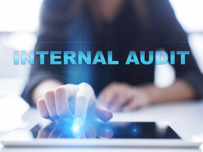 10.2.1 Uygulamalı İç Denetim